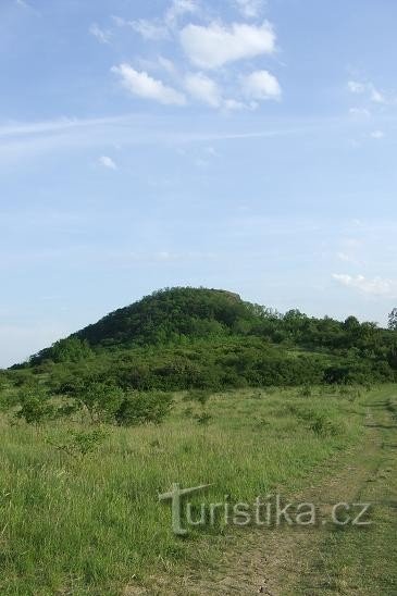 Hora Radobýl