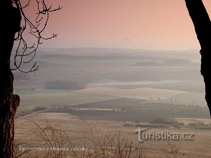 Гірський Ріп