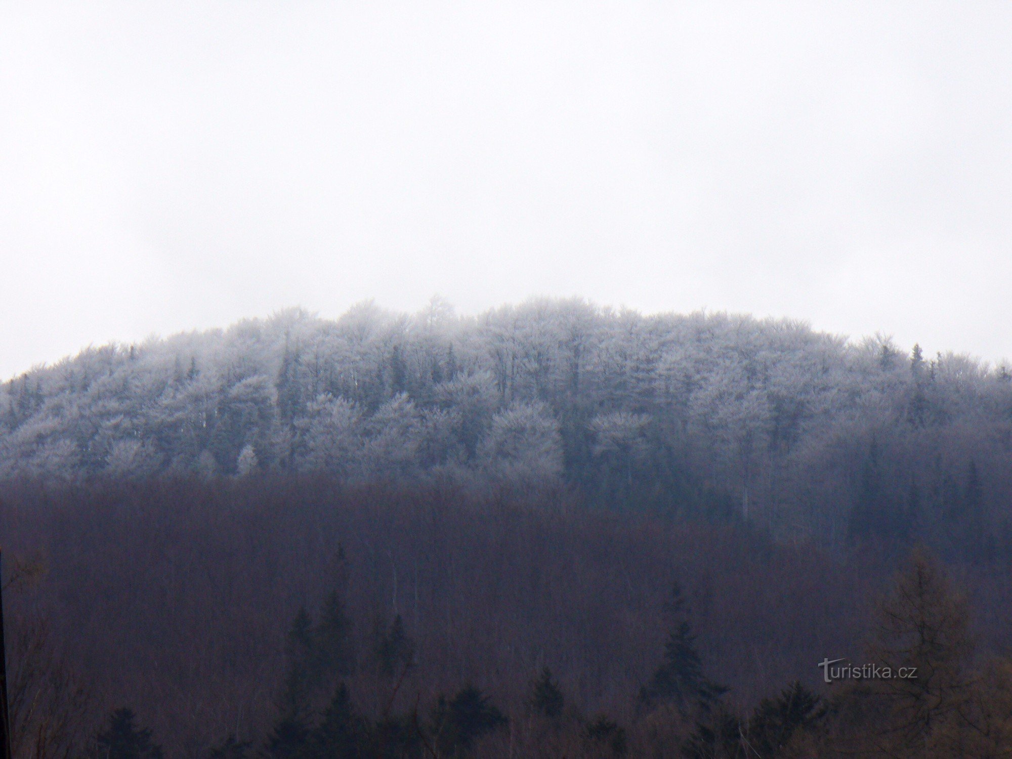 Гора Скалка - в утреннем тумане