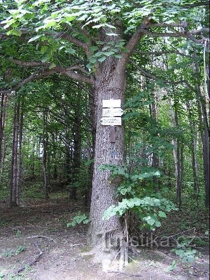 Horečky : Vue du carrefour de Horečky