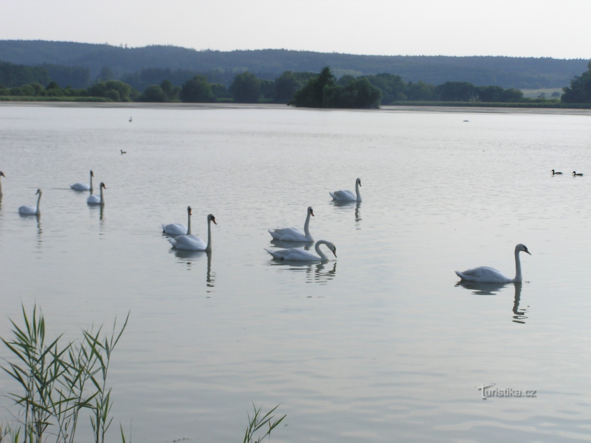 Lago Horecký