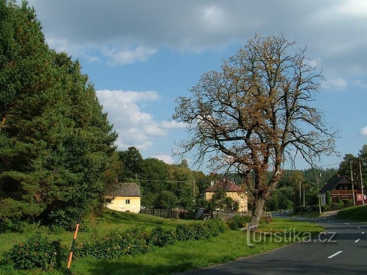 Gornje Kunčice