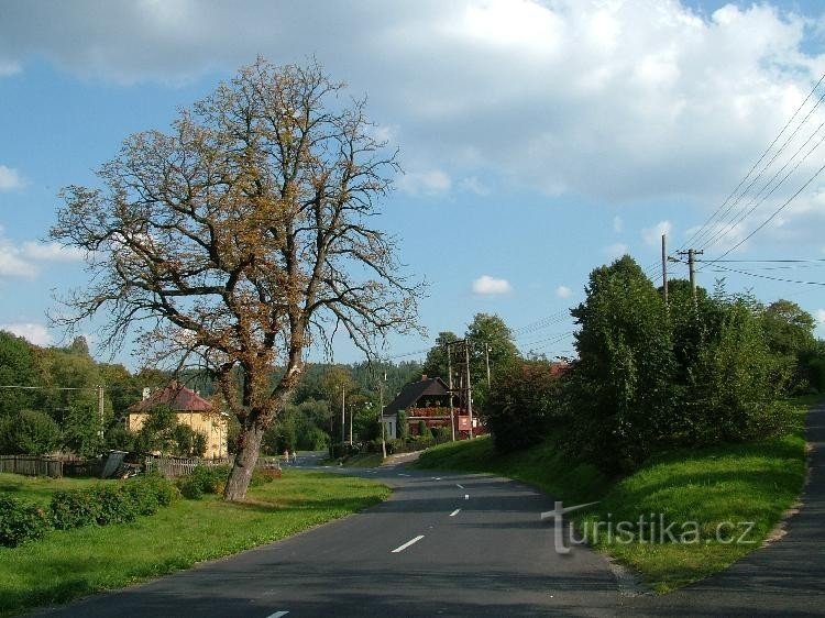 Верхній Кунціце