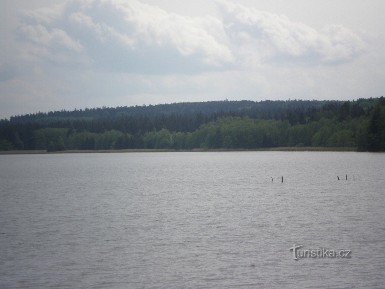 Верхний Падрский пруд, Бржижковец на заднем плане (высота 718)