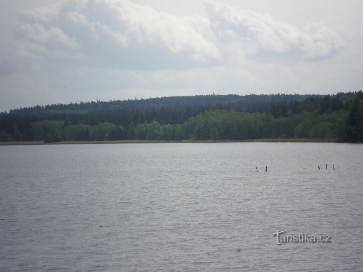 Lagoa superior de Padrťský, Břízkovec ao fundo (elevação 718)