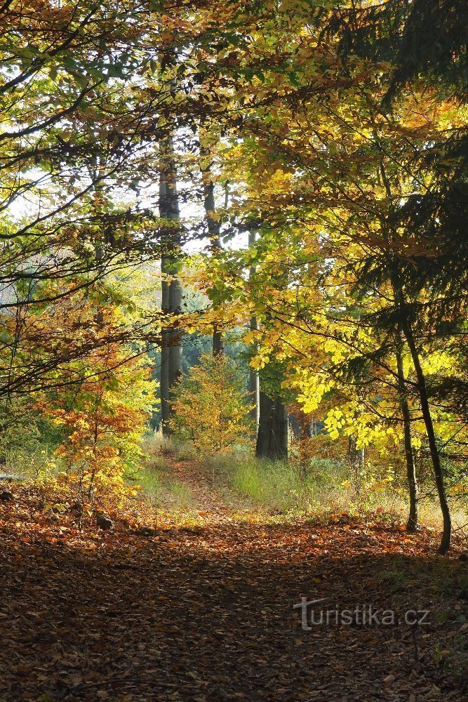 Hořice ridge