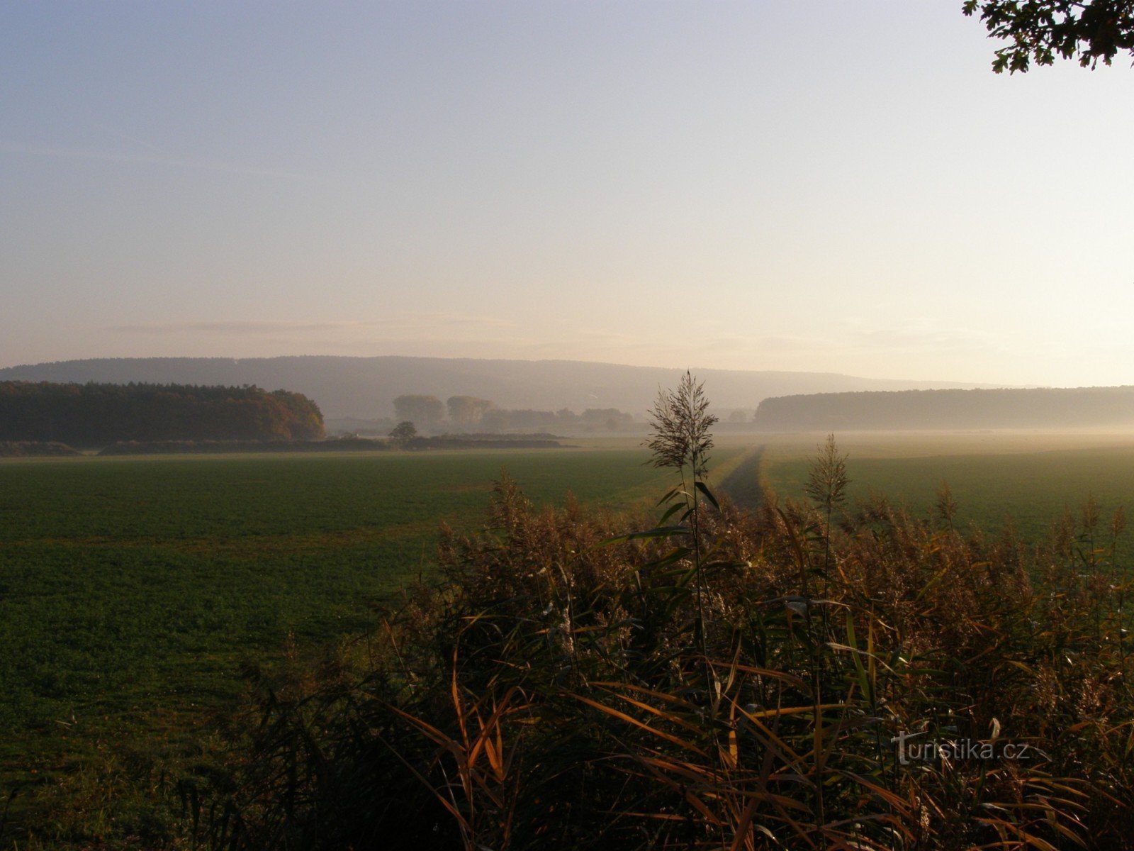 Hořický hřbet de l'étang de Hluboký près de Třtěnice