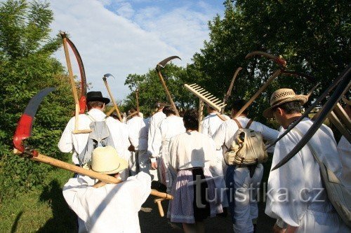 Гірничокосіння