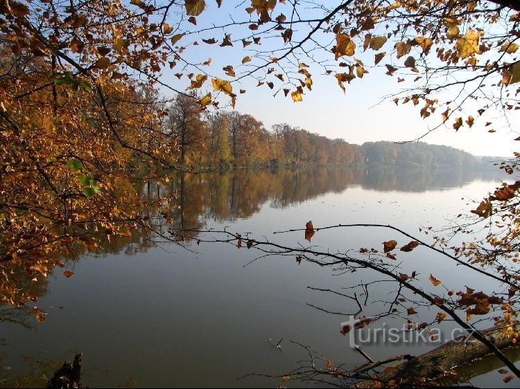 Bovenste Bartošovický-vijver