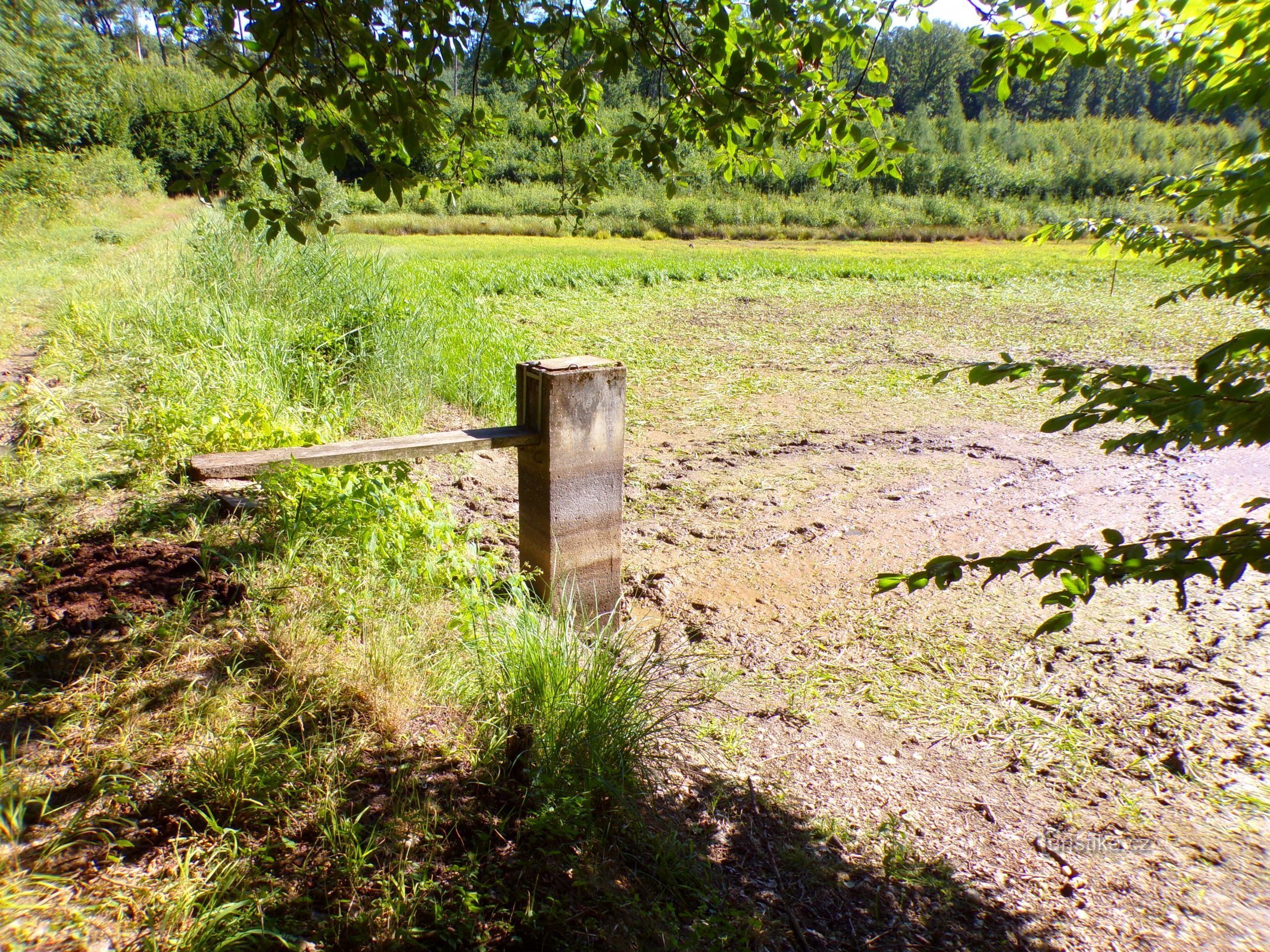 Horní Běloveský pond (Chýšť, 17.7.2022)