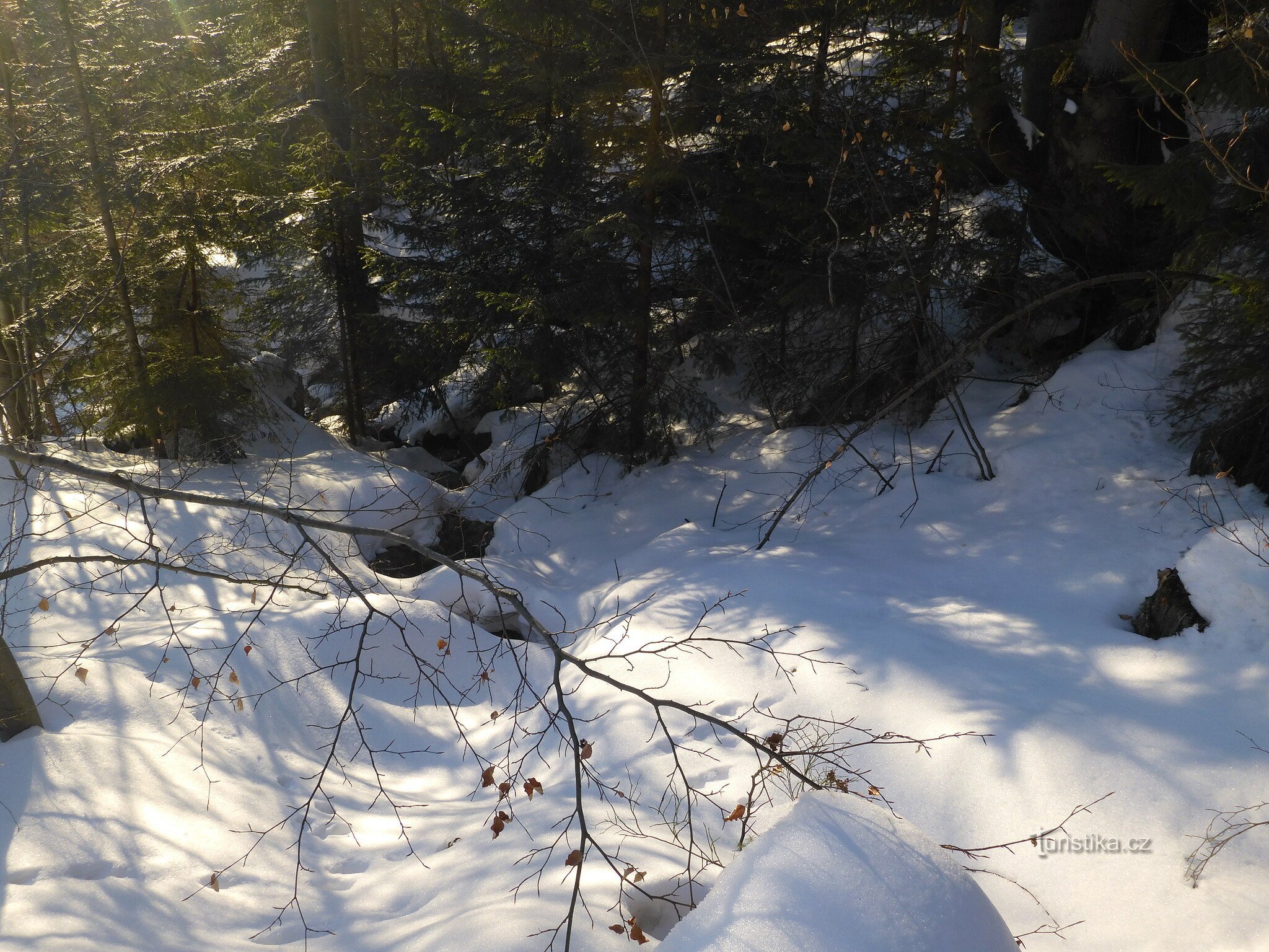 Zgornji del potoka Kotelnice.