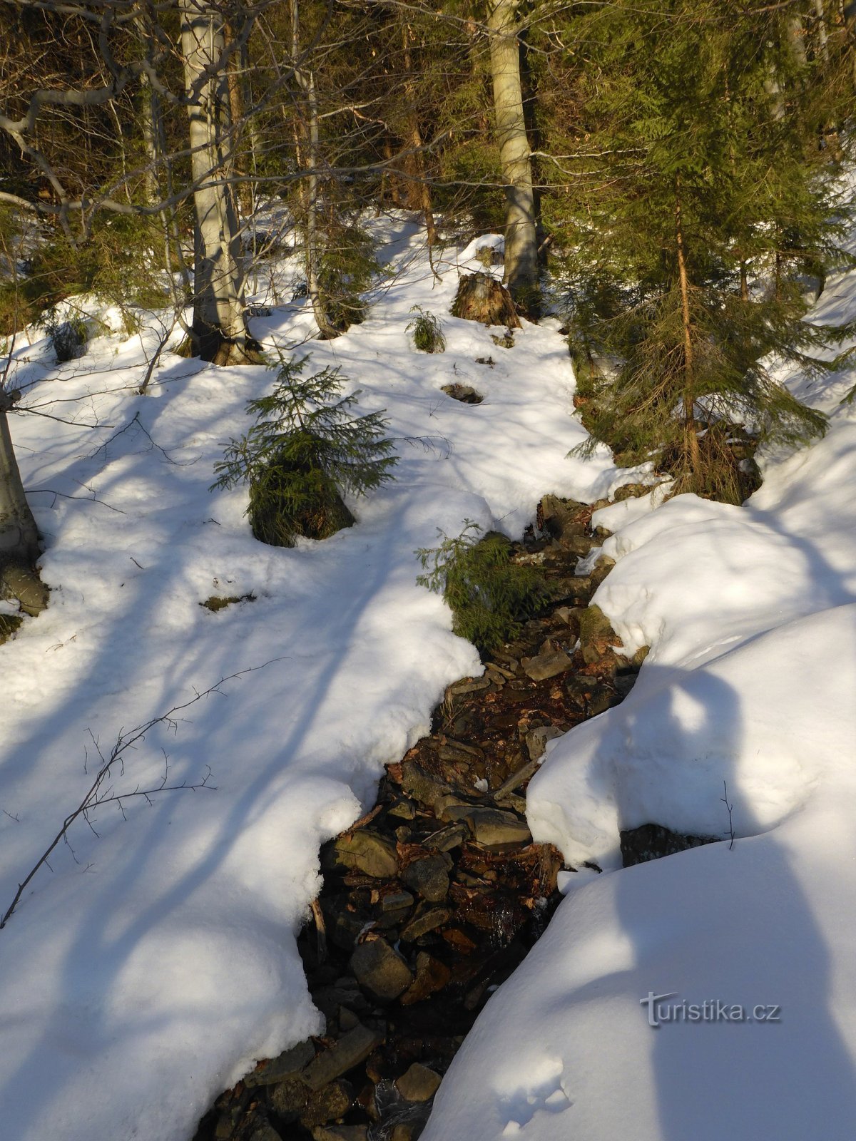 The upper part of the Kotelnice stream.