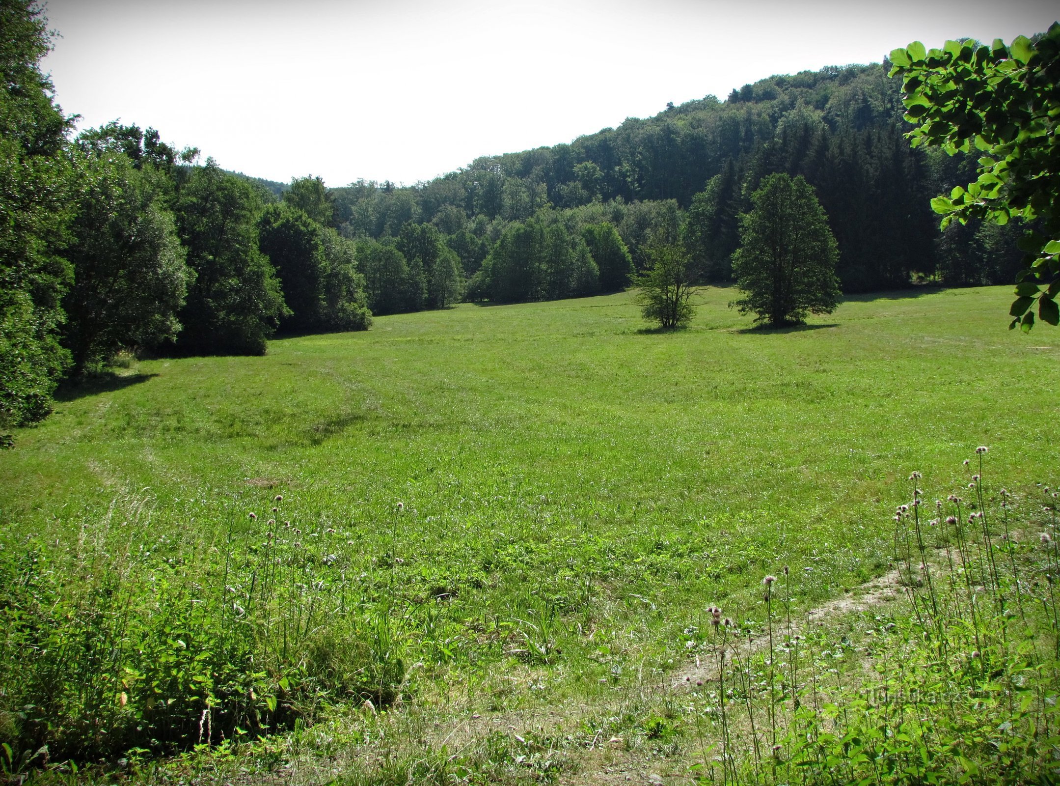 Der obere Teil des Rakovecké-Tals unterhalb von Bukovinka