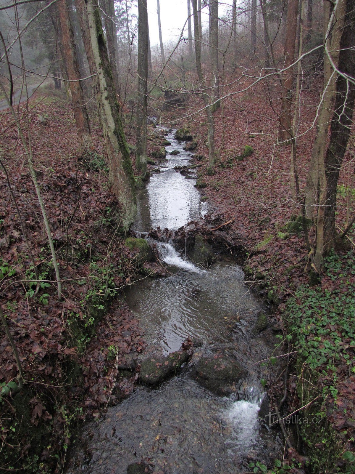 gornji dio doline, gdje prolazi žuta cesta za Rabštejn