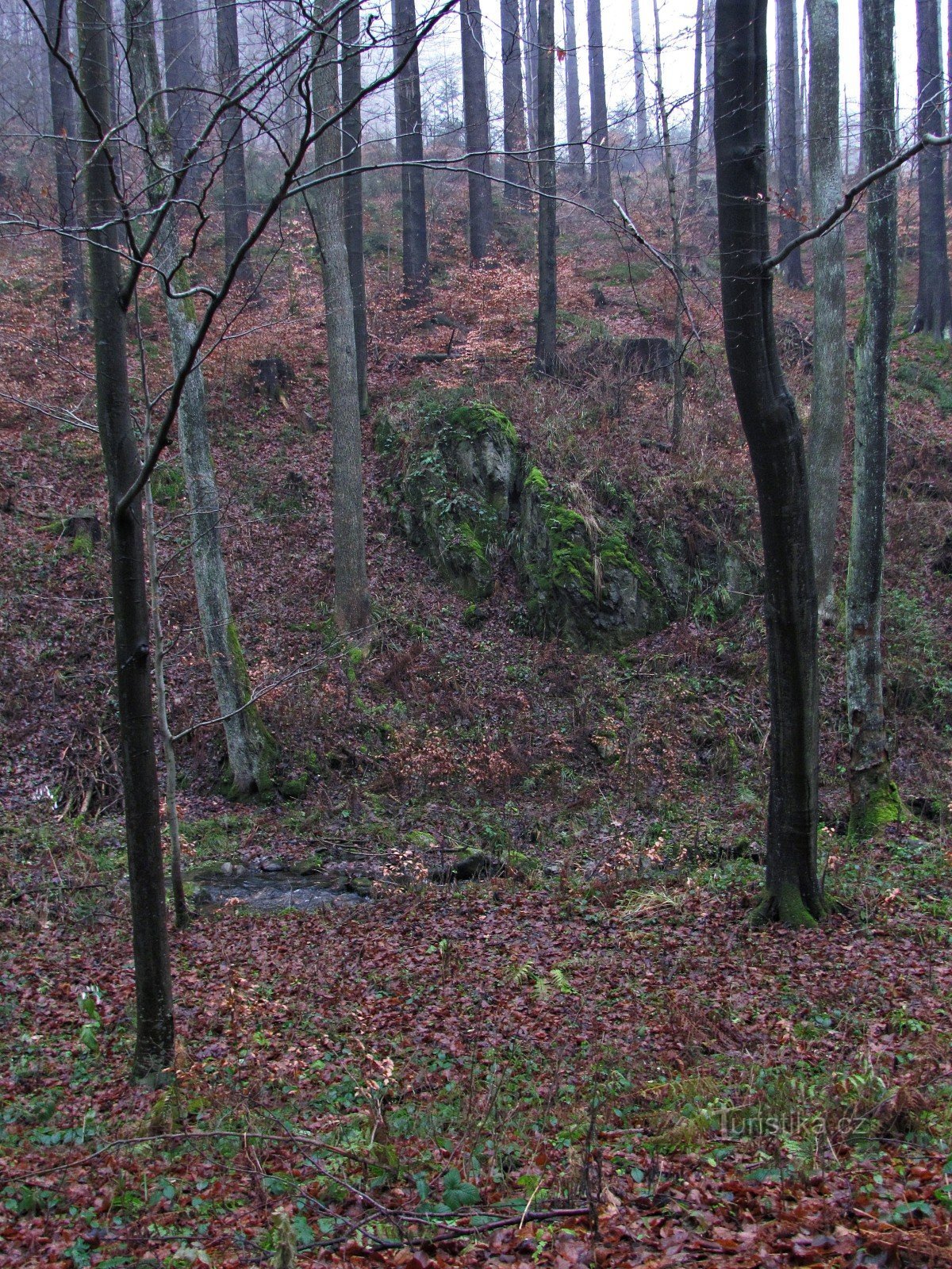 laakson yläosa Bedřichovia kohti