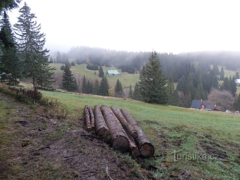 A Nagy Tippelt Rügyek felső része