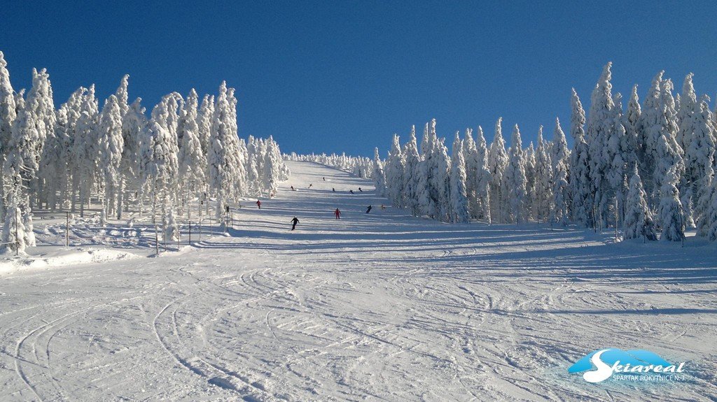 Những ngôi nhà thượng lưu trượt tuyết