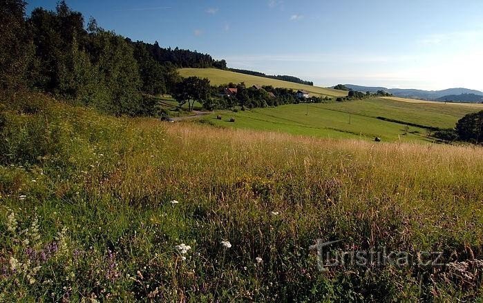 Horní Dvorce: bosättning ovanför Sušicí