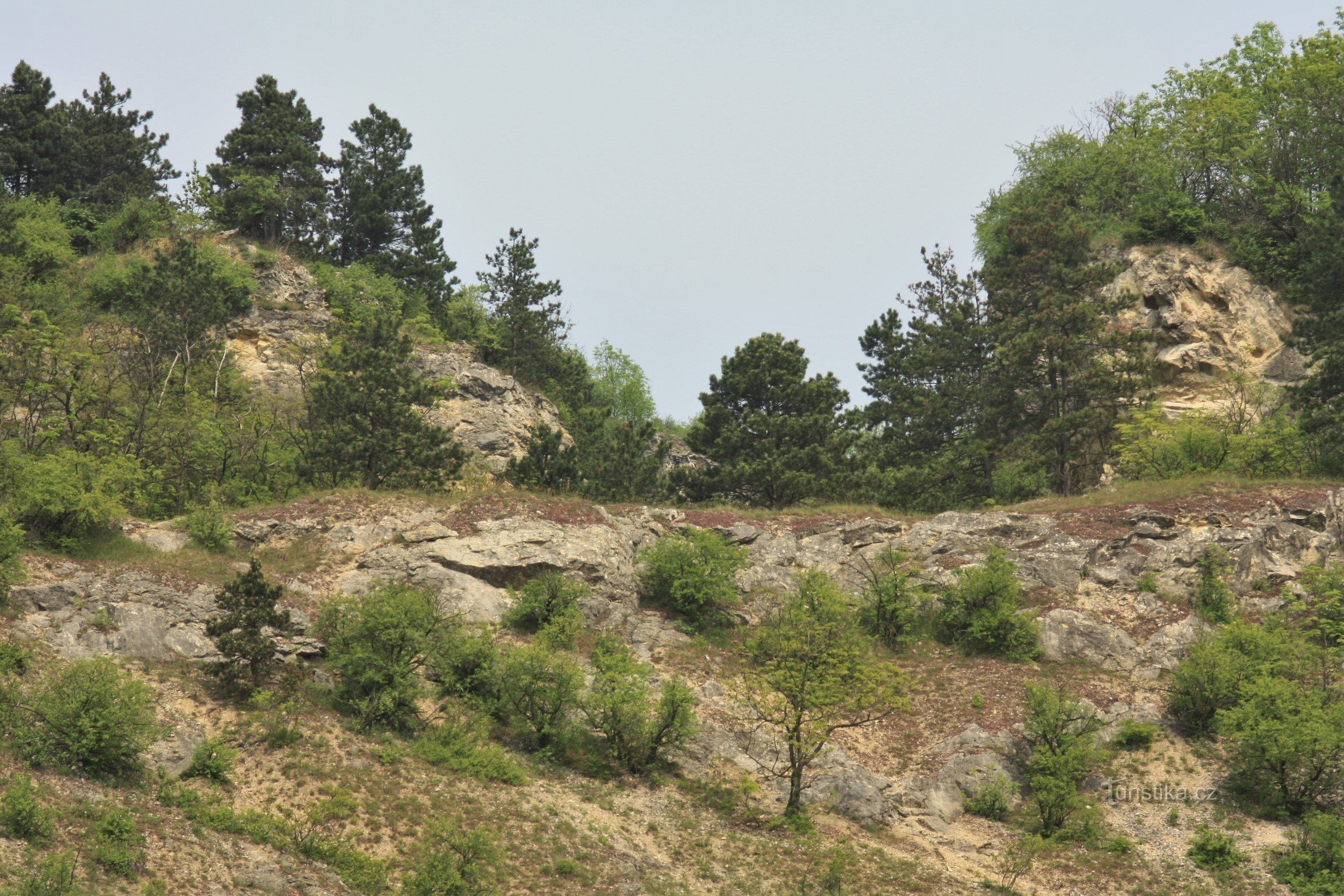 Horní hrana bývalého hlavního lomu, za ní skalní průrva po odtěžené Turoldově jeskyni.