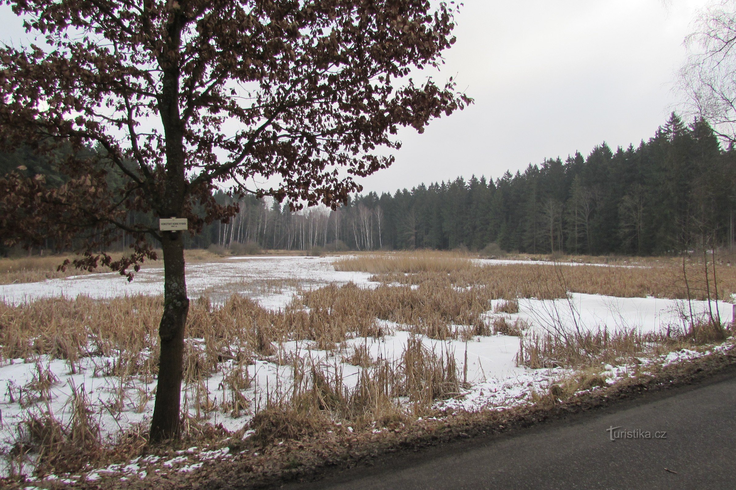 Oberer Kokot-Teich