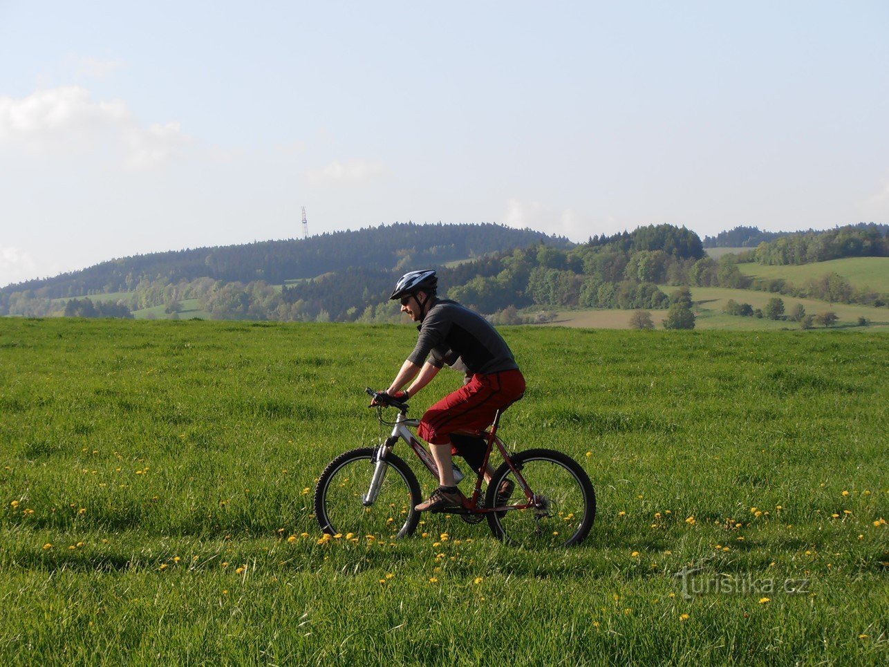 Haute forêt