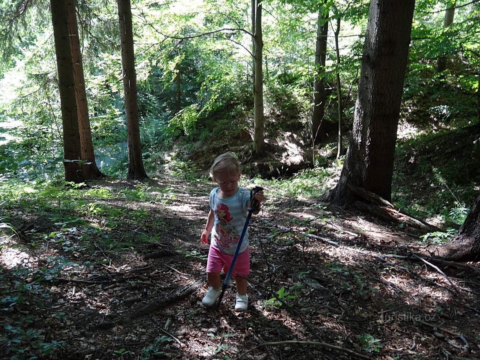 Horní Lomná Kyčmol en el bosque