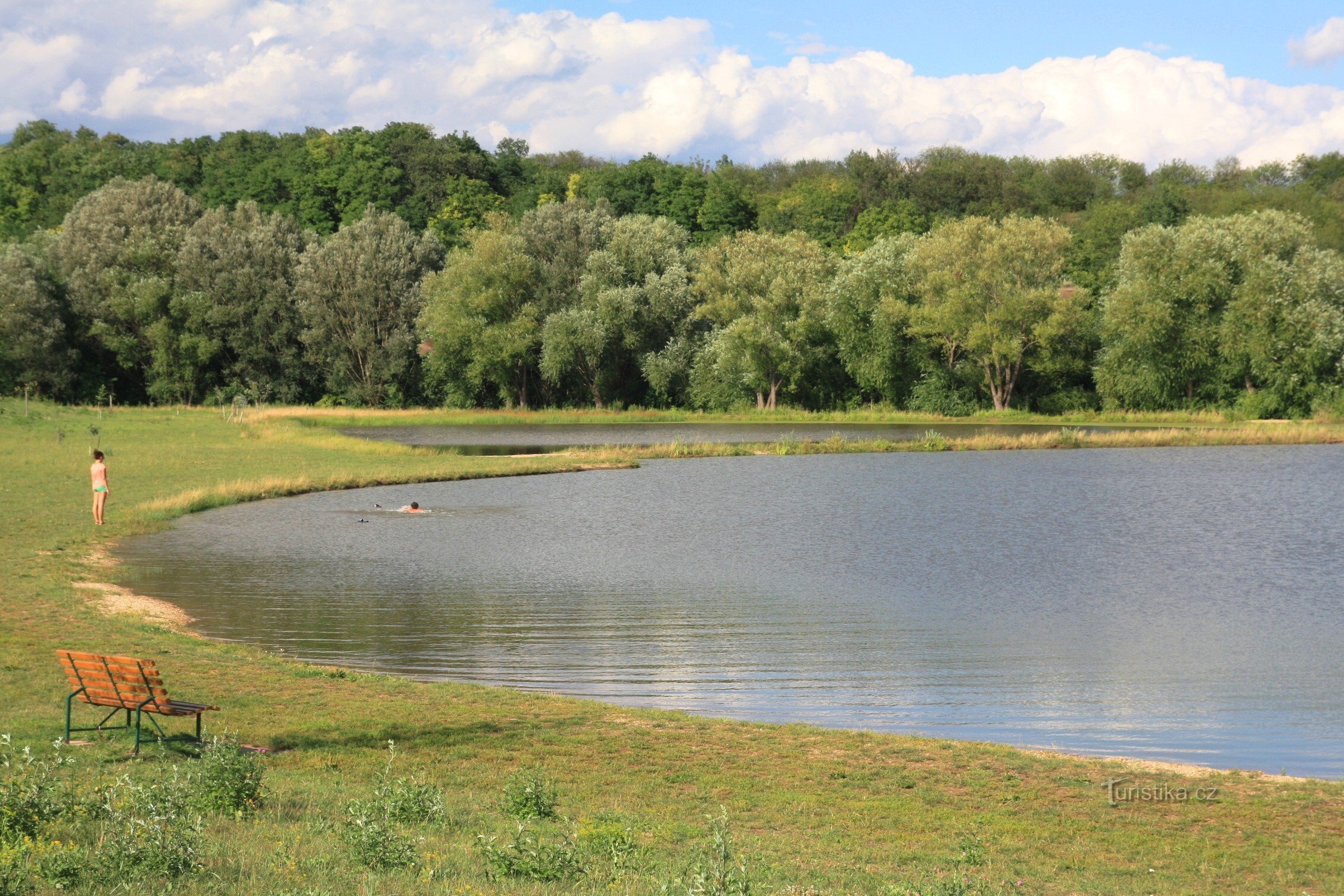 Bovenste wetland en stuwmeer