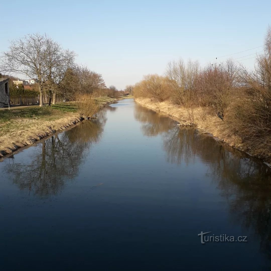 Moštenice de sus