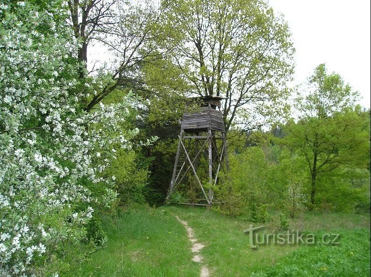 Bovenste vuren