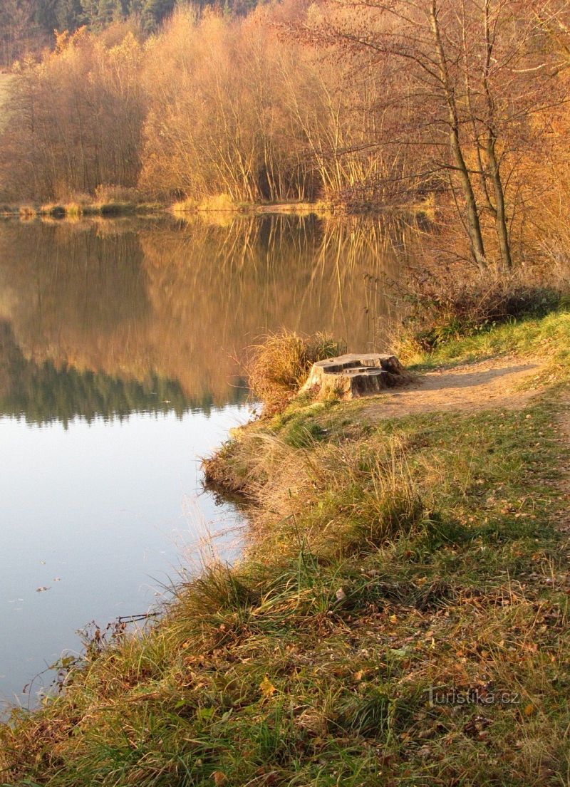 Bělovodské rybníky Lukov