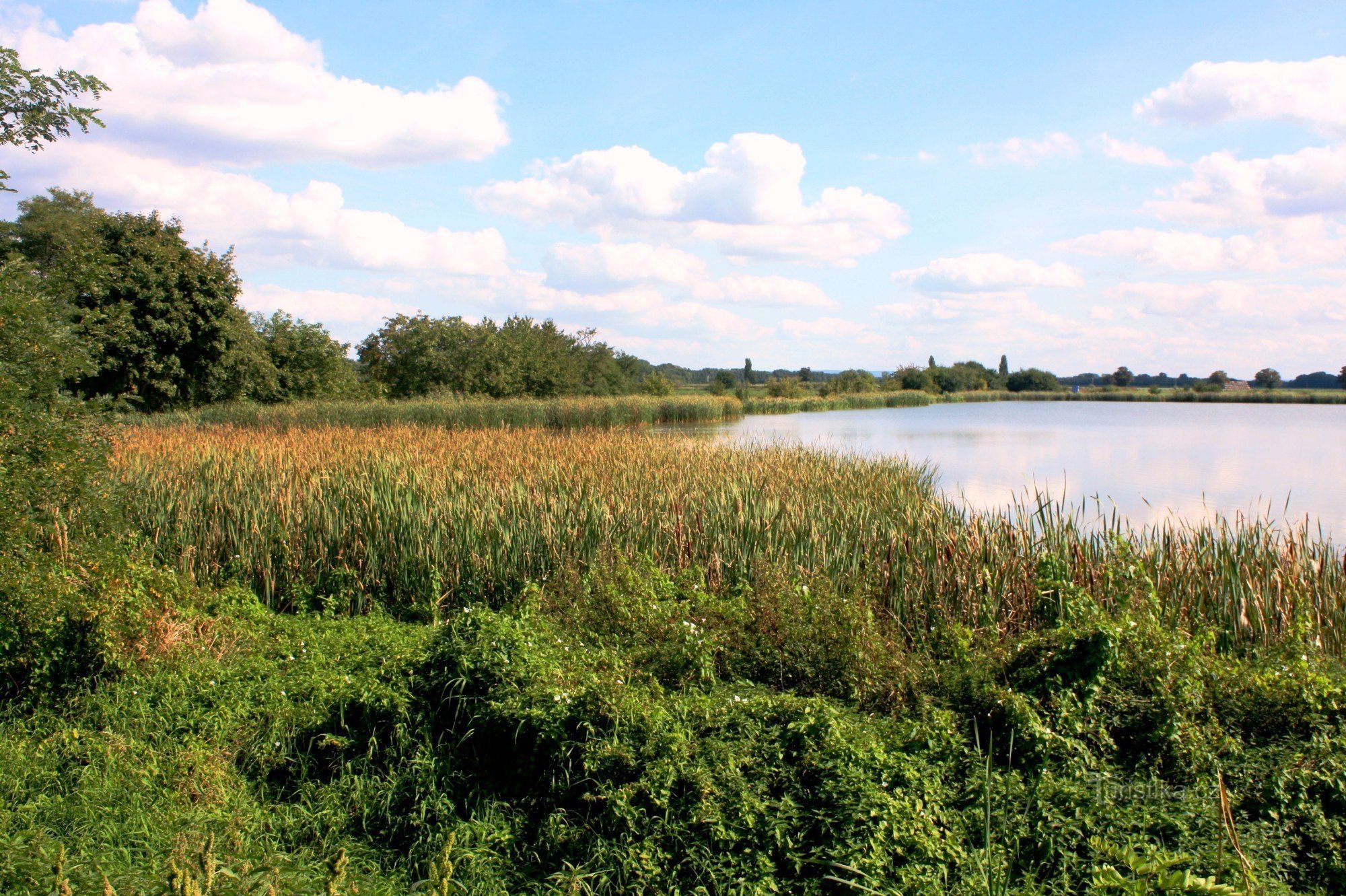 Upper pond