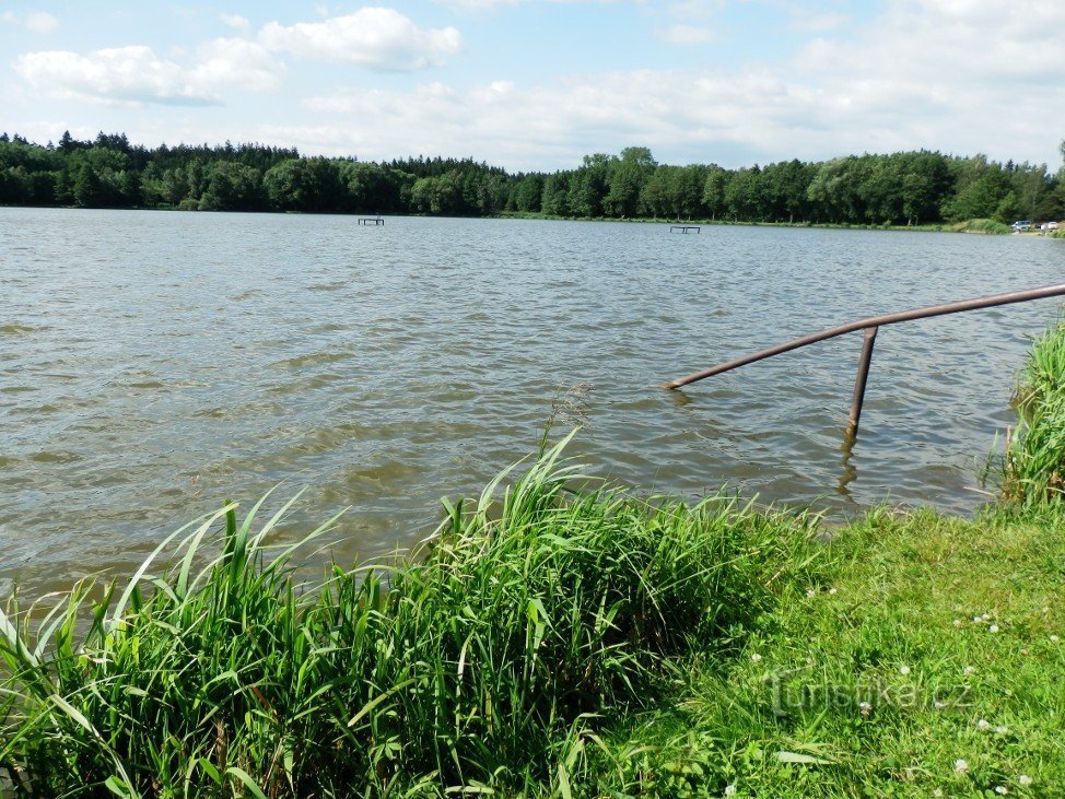 Oberer Teich vom Südostufer