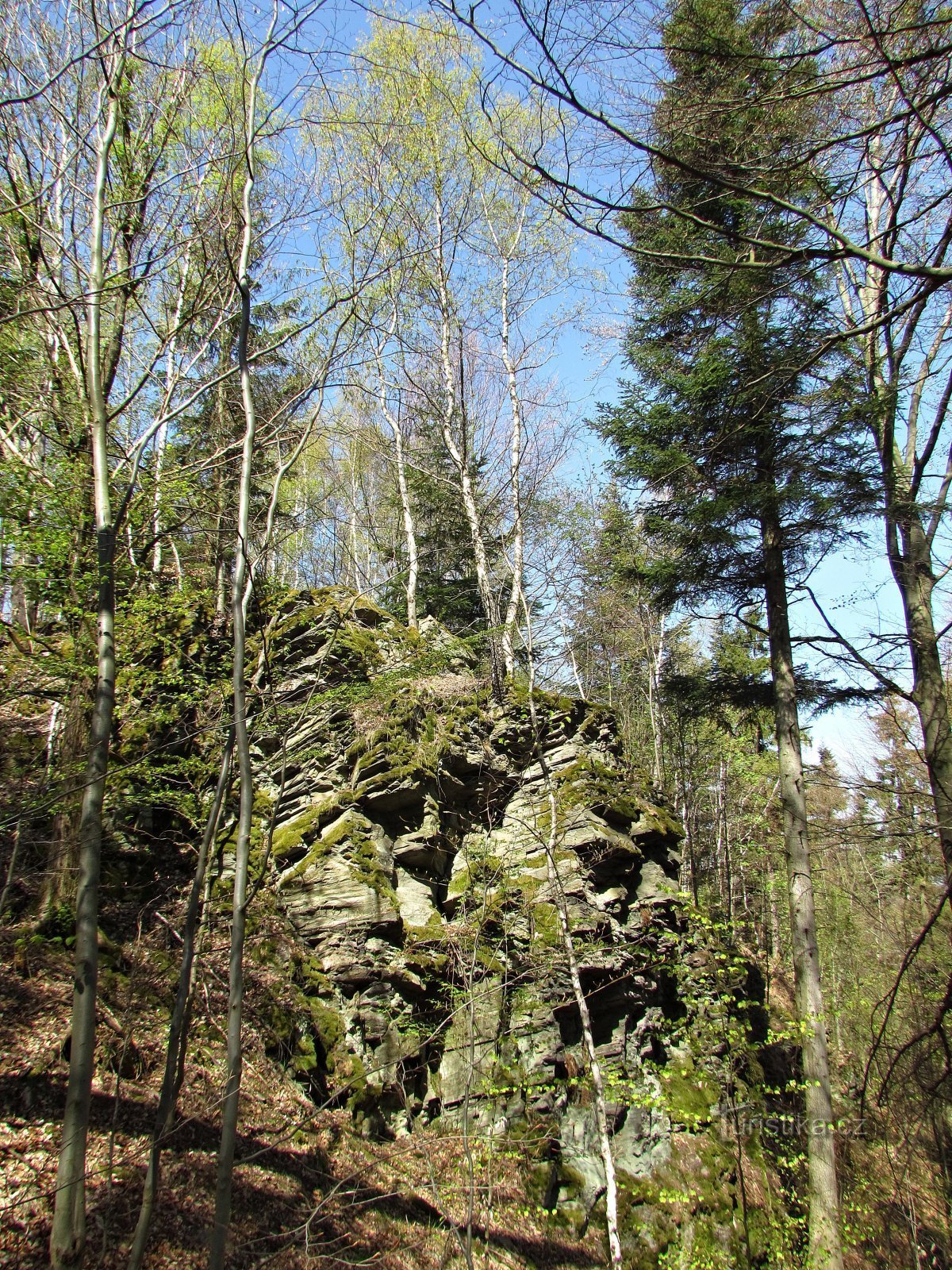 zgornji skalni pas, ki se spušča z vrha hriba