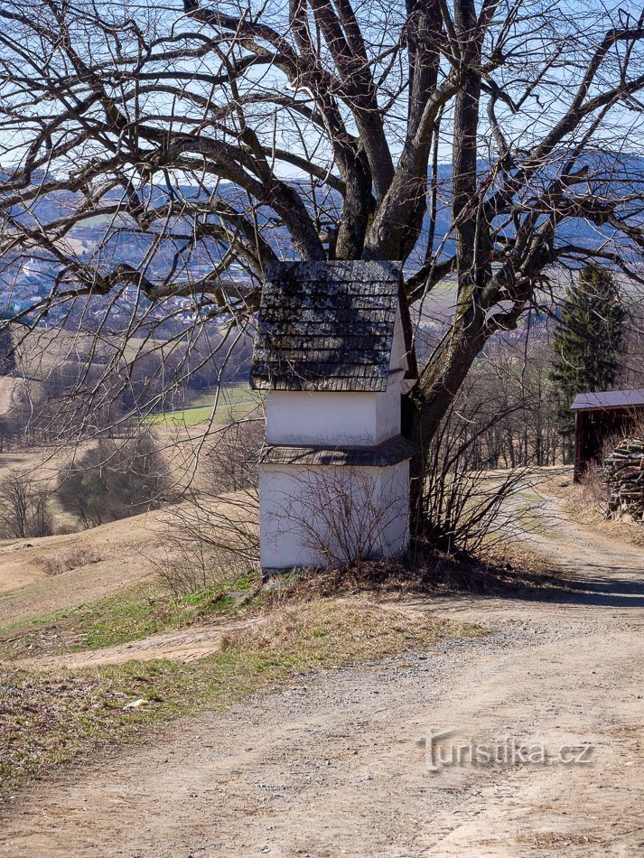 Horní Studénky - lindeboom bij de kapel van St. Linhart