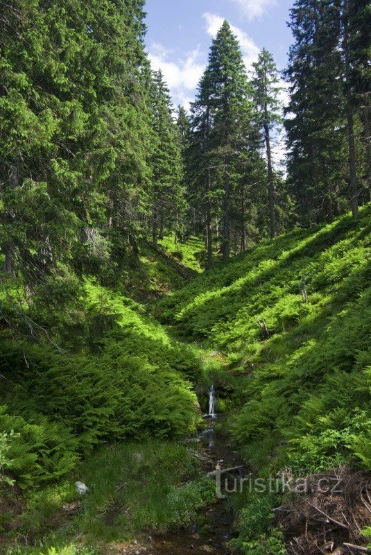 Верхній потік