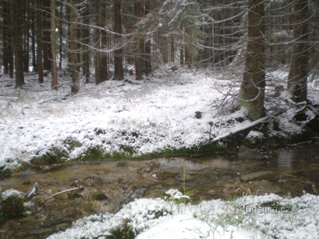 Oberlauf des Baches Třítrubecký potok