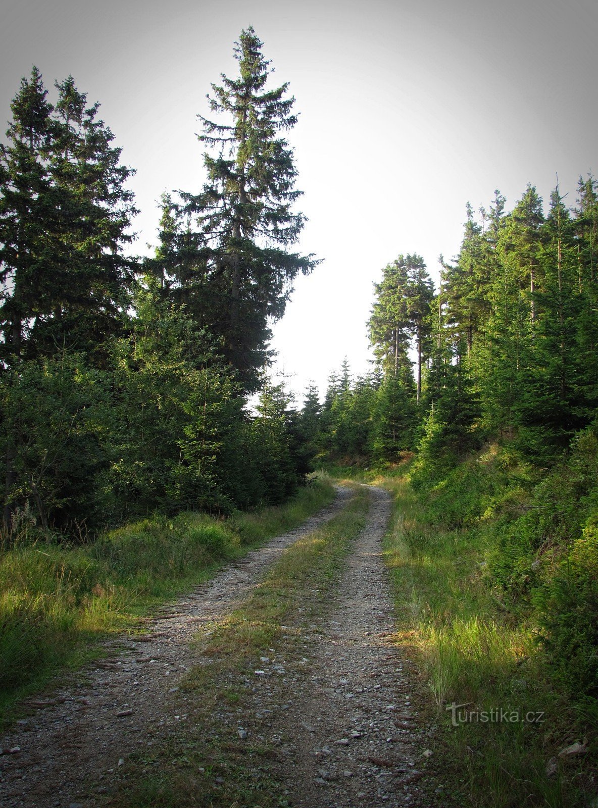 the upper layer road below the summit of Černá strána