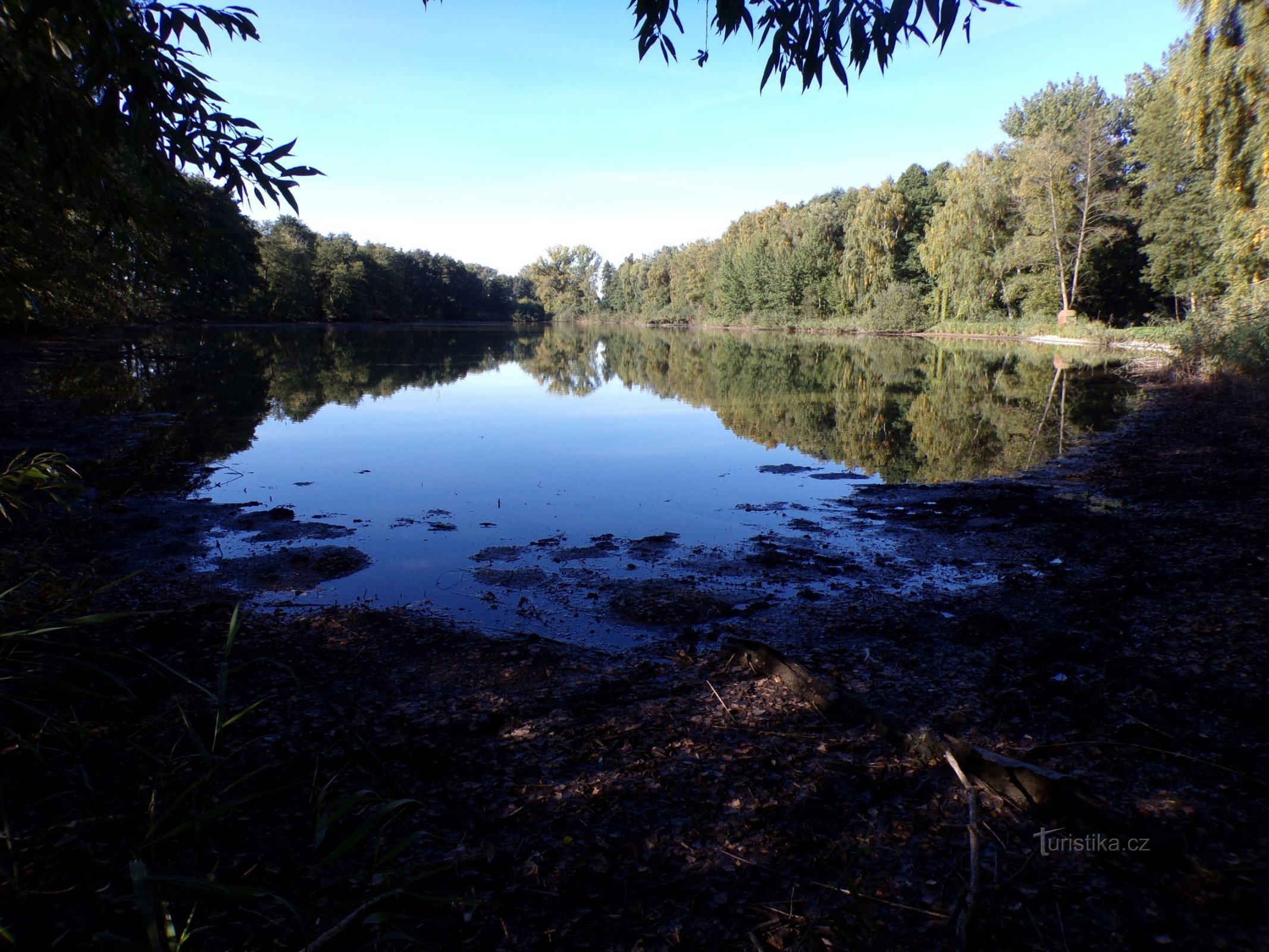 Horní Zábranský rybník (Lázně Bohdaneč, 2.10.2021. oktober XNUMX)