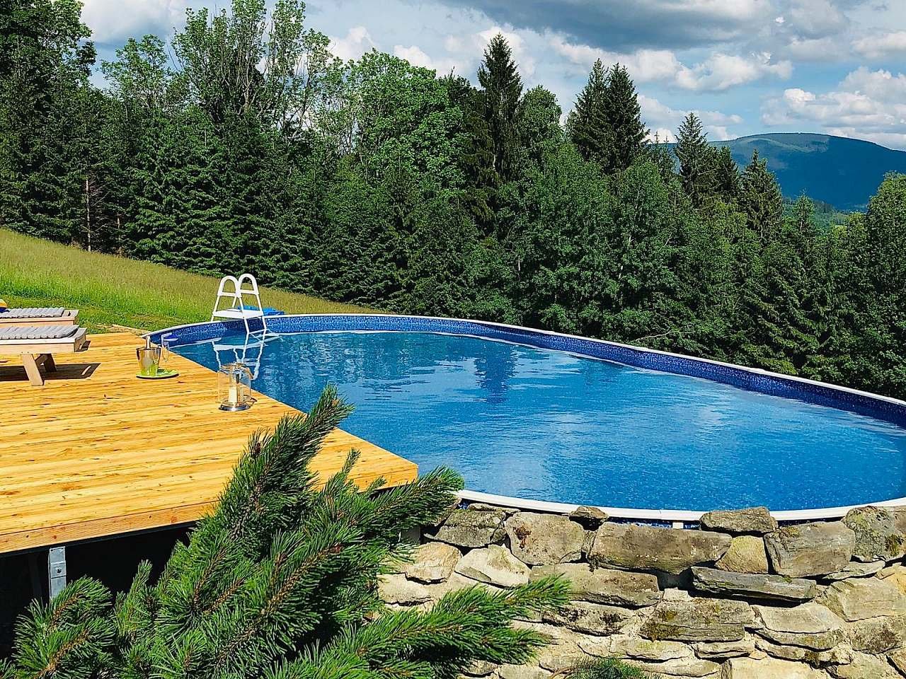 Horska Chata Pekarov_ Vyhled Bazen a Les
