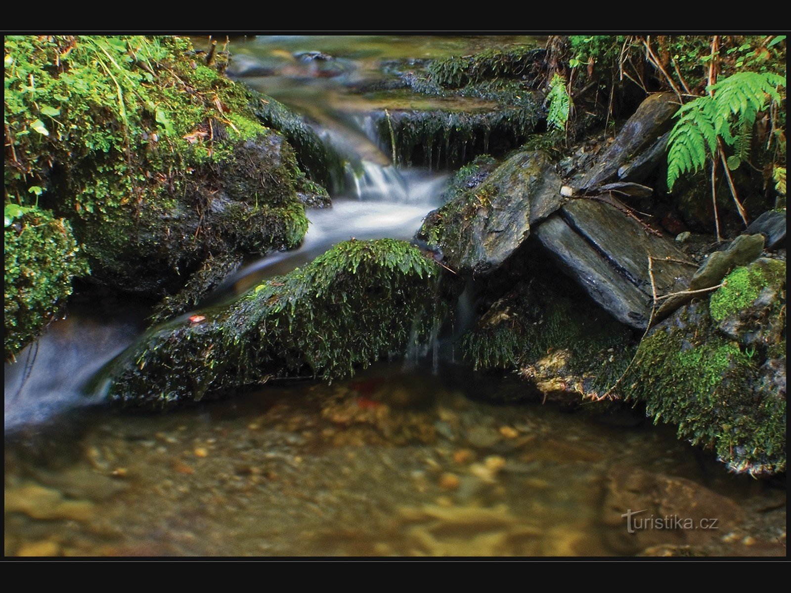 ruisseau de montagne au-dessus de Ludvíkov