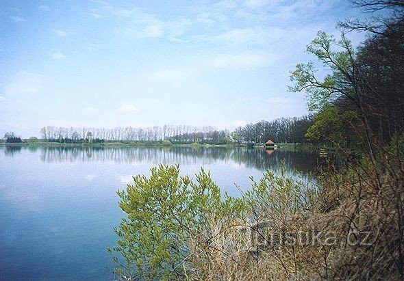 Horusický pond