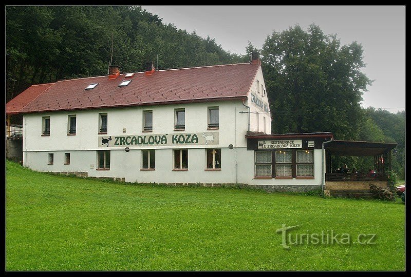 Паб «Дзеркальна коза».