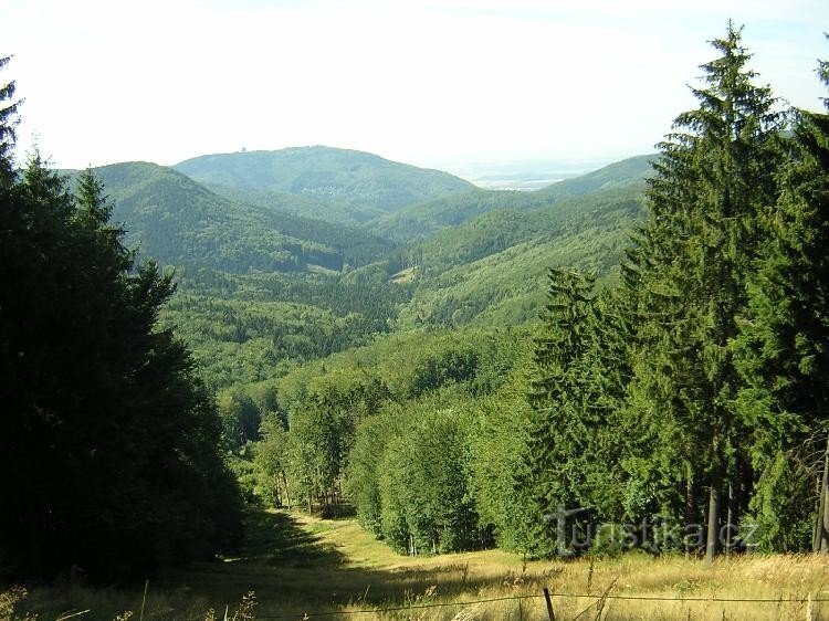 Collines de Hostynské