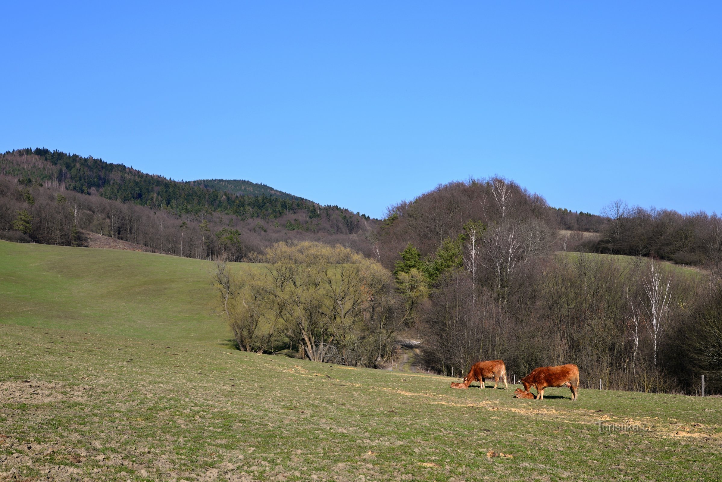 Hostýnské vrchy: nad obcí Kašava