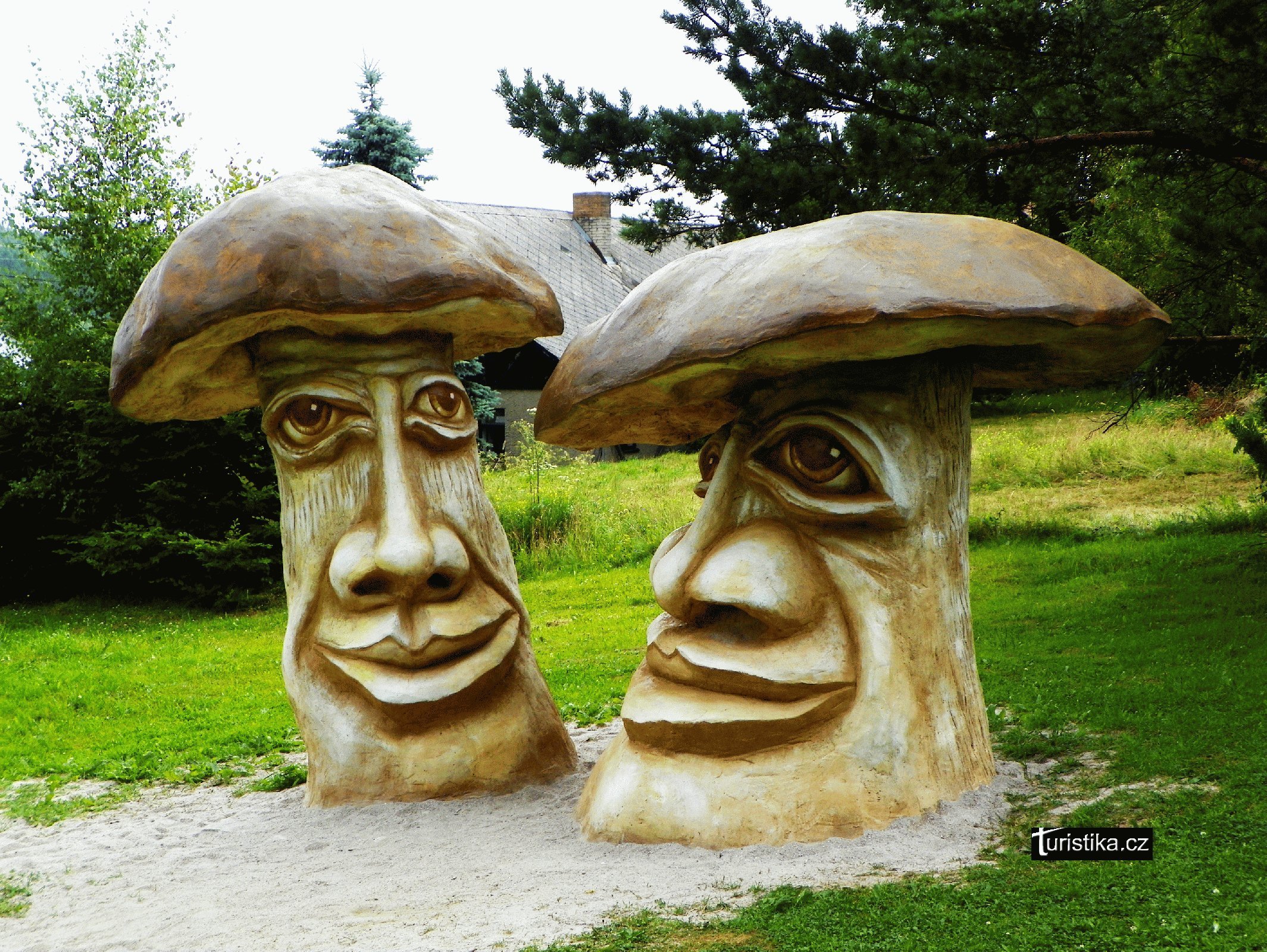 Mushrooms from Olšiak