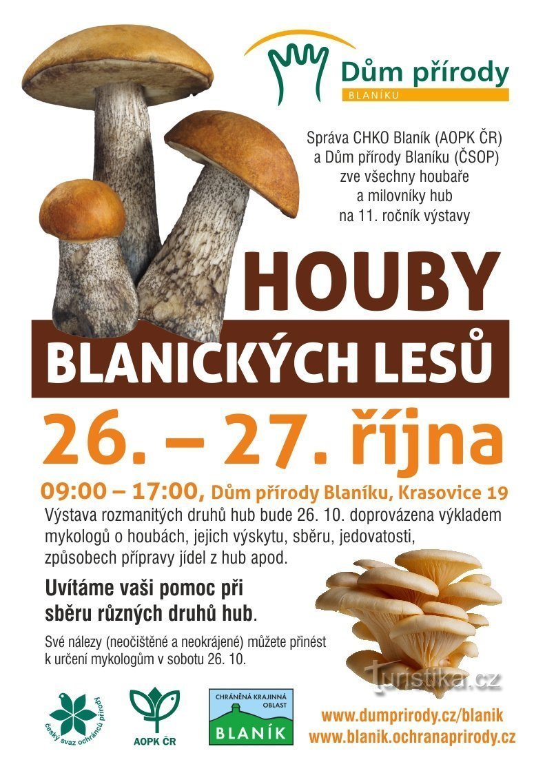 Podblanicka mushrooms will be on display in the Blaník Nature House