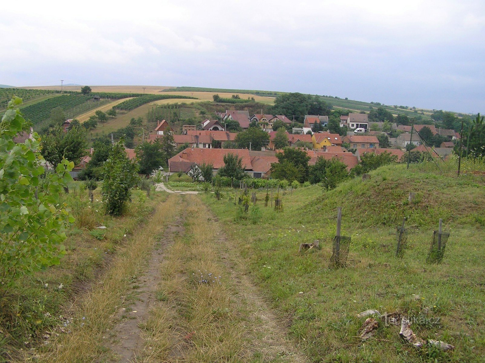 Говорять з півночі