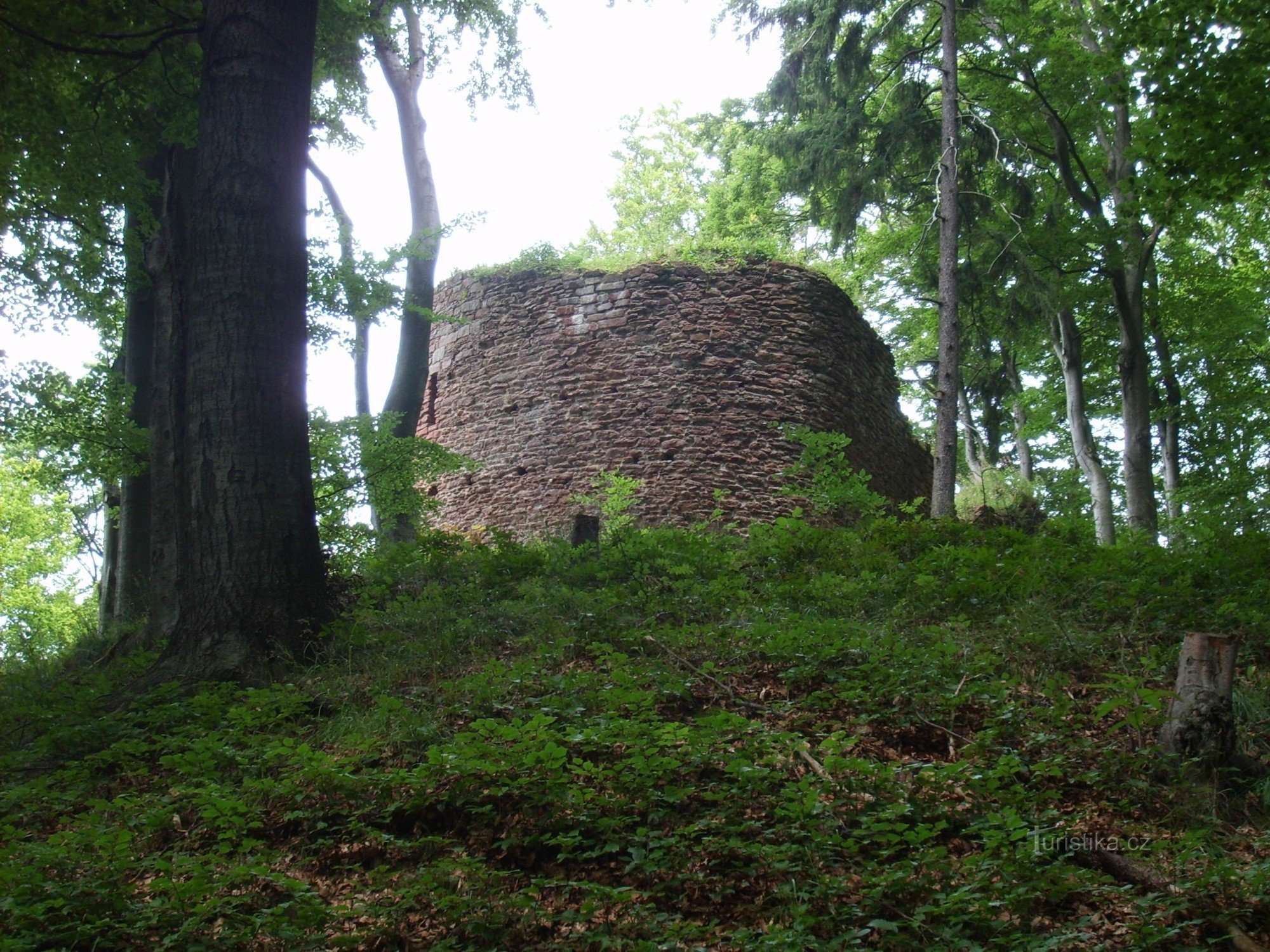 kasteel