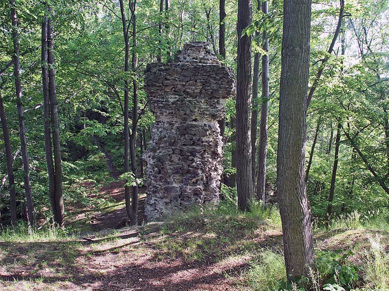 Castillo de Hamrštejn