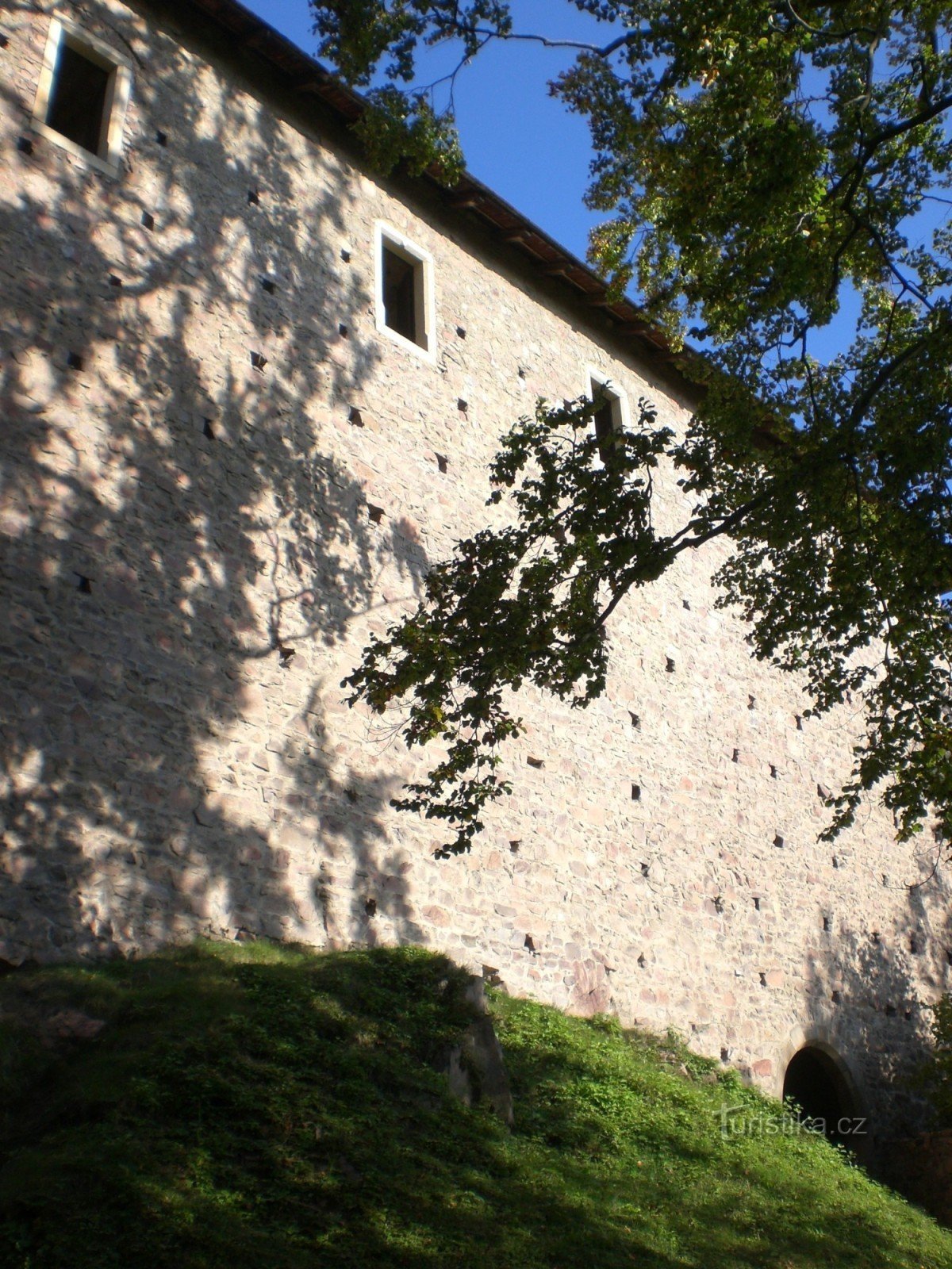 Castelul Litice